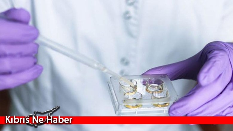 Bilim insanlarından büyük başarı! Mekanik rahimde embriyo yetiştirdiler
