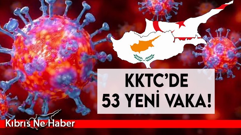 SON DAKİKA! 44'ü yerel 53 pozitif vaka