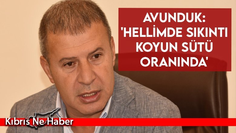 Avunduk: 'Hellimde sıkıntı koyun sütü oranında'