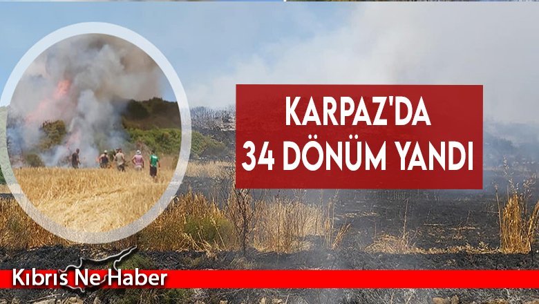 Karpaz'da 34 dönüm yandı