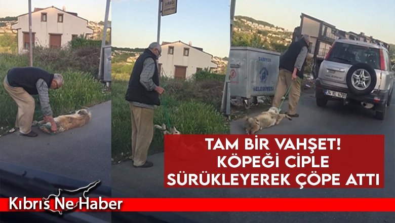 Köpeği ciple sürükleyerek çöpe atan şahıs serbest bırakıldı