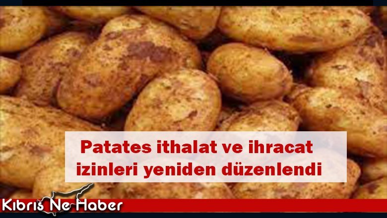 Patates ithalat ve ihracat izinleri yeniden düzenlendi