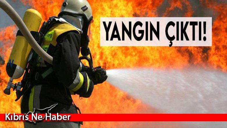 Kermiya'da boş arazide yangın çıktı
