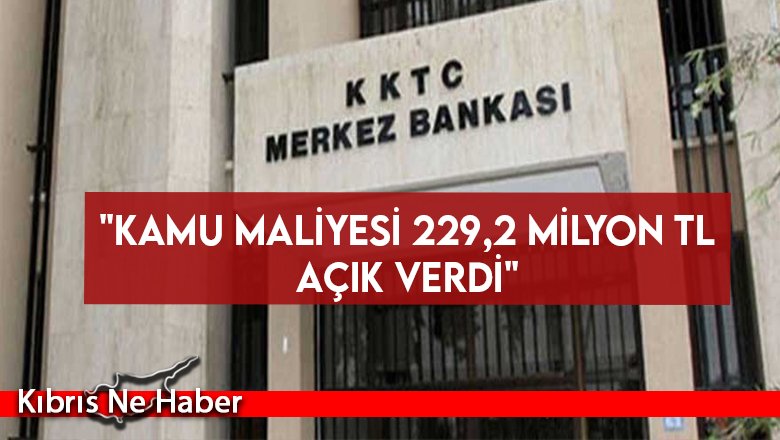 "Kamu maliyesi 229,2 milyon TL açık verdi"