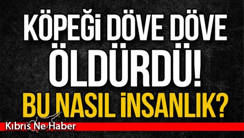 Haspolat’ta vahşet!