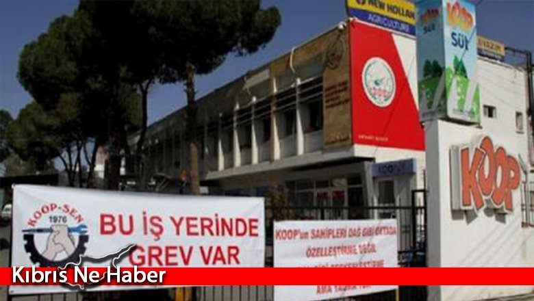 KOOP-SEN uyarı grevi yapıyor