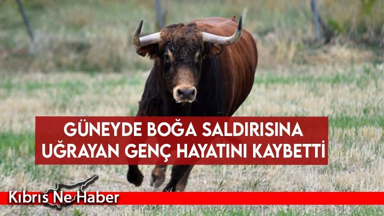 Güneyde boğa saldırısına uğrayan genç hayatını kaybetti
