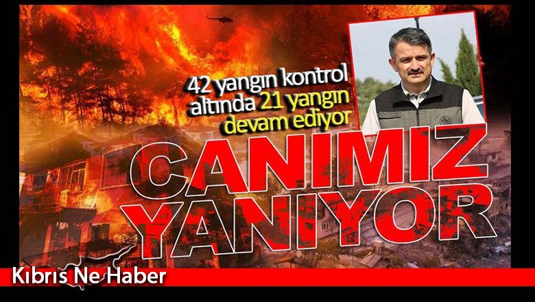 Ciğerlerimiz yanıyor; 21 ilde 42 yangın