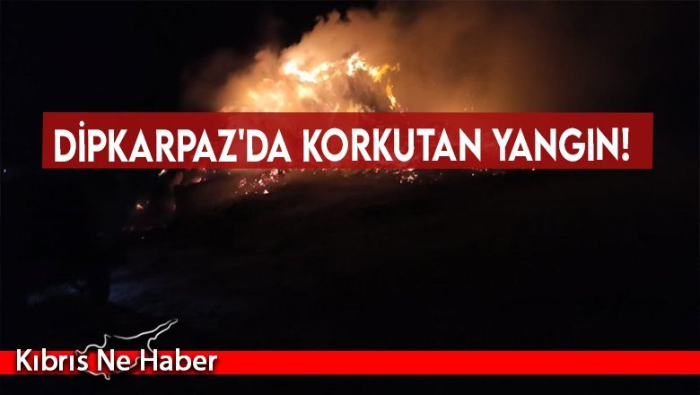 Dipkarpaz'da korkutan yangın!