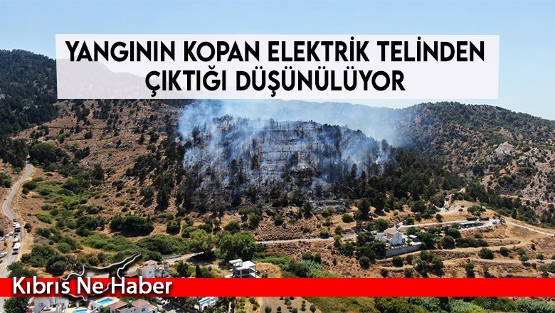Yangının kopan elektrik telinden çıktığı düşünülüyor