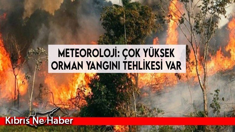 Meteoroloji: Çok yüksek orman yangını tehlikesi var