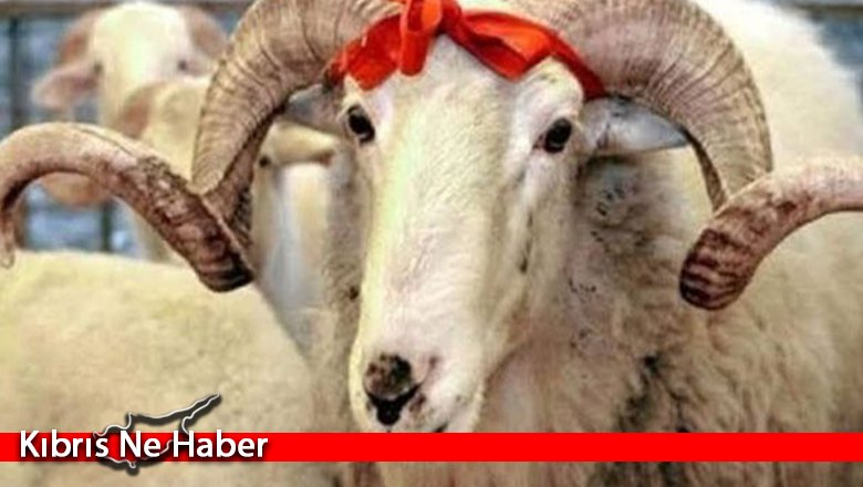 Kurban Bayramı Bugün Sona Eriyor