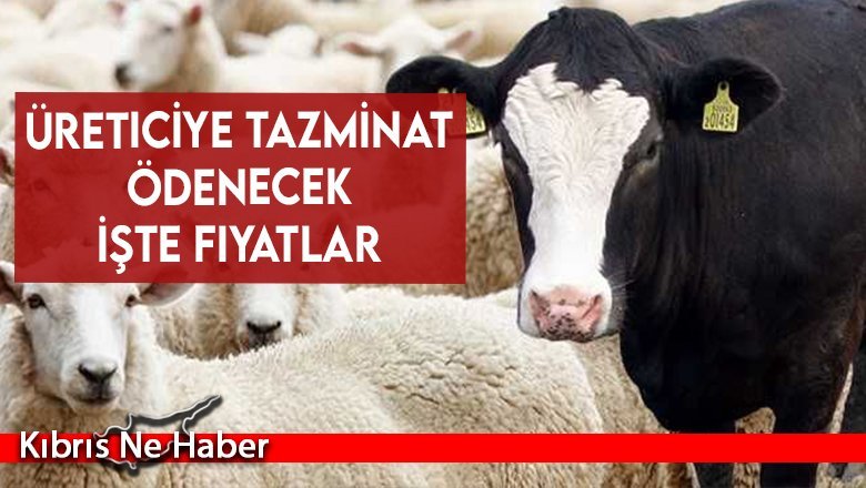 Üreticiye tazminat ödenecek.. İşte fiyatlar  