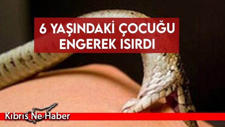6 Yaşındaki Çocuğu Engerek Isırdı