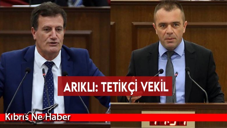 Arıklı: Tetikçi vekil