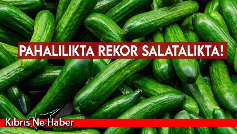 Pahalılıkta rekor salatalıkta!
