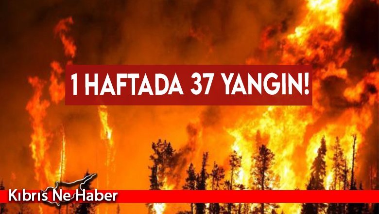 Sıcaklıklar artıyor: 1 haftada 37 yangın!