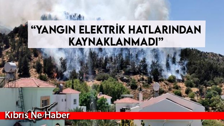 “Yangın elektrik hatlarından kaynaklanmadı”