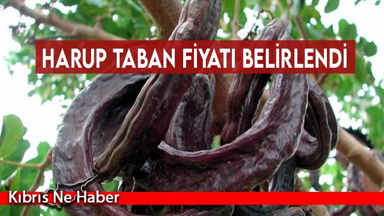 Harup taban fiyatı belirlendi