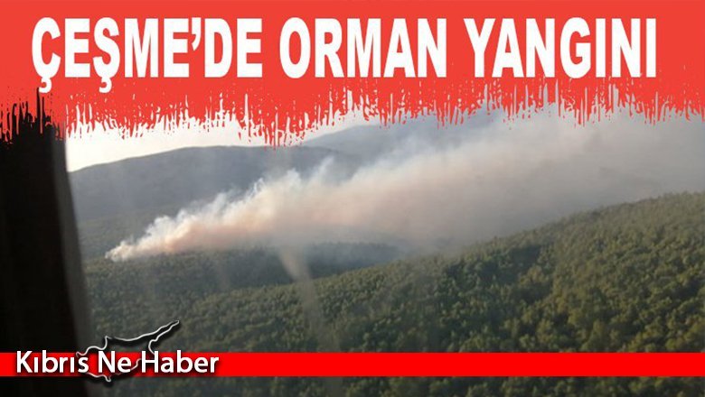 Son Dakika! İzmir Çeşme’de orman yangını çıktı