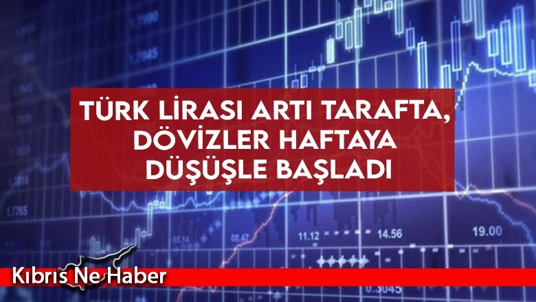 Türk Lirası artı tarafta, dövizler haftaya düşüşle başladı