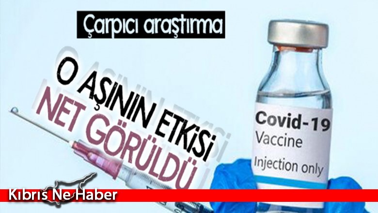 Sinovac'la ilgili çarpıcı araştırma