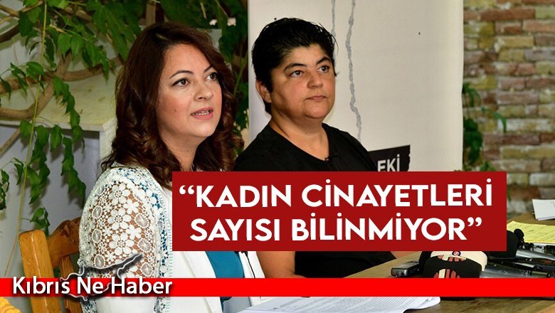 Mine Atlı: Kadın cinayetleri açığa kavuşturulmalı