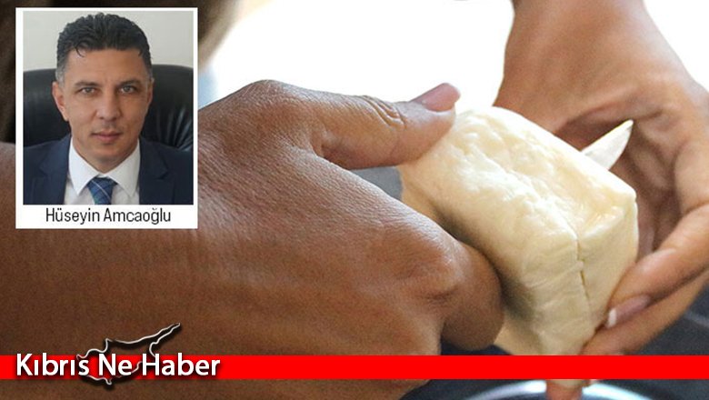 Amcaoğlu: “Hellim konusunda Avrupa Komisyonu tarafından gerekli adımlar ivedilikle atılmalı”