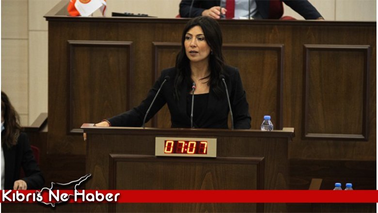 ÖZDENEFE: “HER ŞEYİNİZ HUKUK DIŞI”