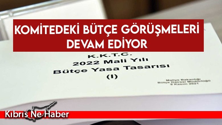Komitedeki bütçe görüşmeleri devam ediyor...