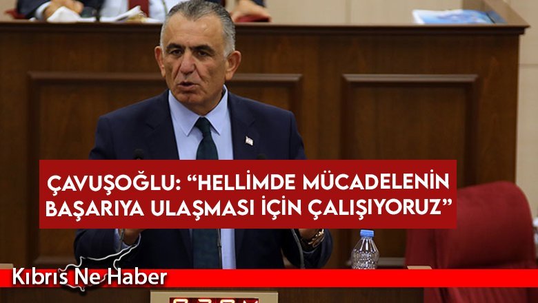 Çavuşoğlu: Hellimde mücadelenin başarıya ulaşması için çalışıyoruz