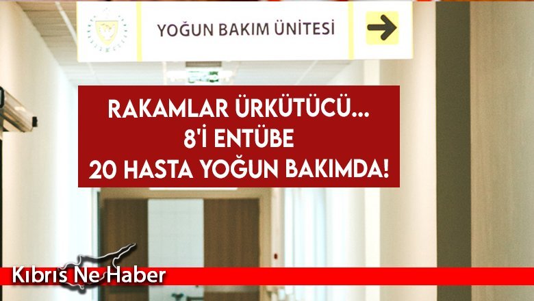 Rakamlar ürkütücü... 20 Hasta yoğun bakımda!