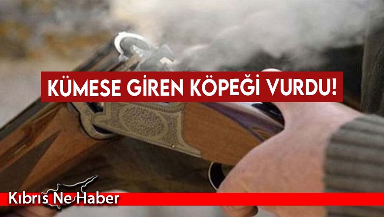 Kümese giren köpeği vurdu!