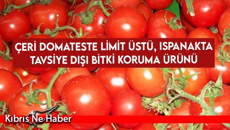 Haftalık gıda analiz sonuçları