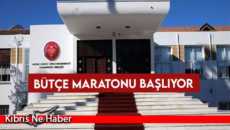 Bütçe maratonu başlıyor