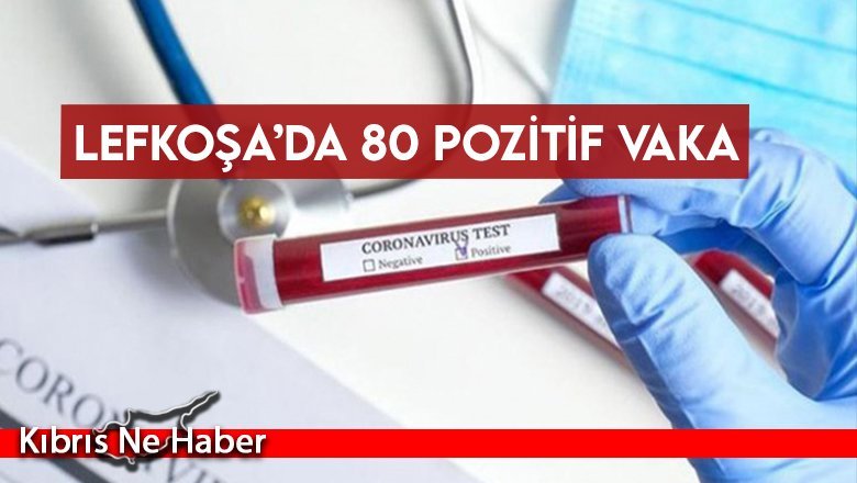 İşte vakaların ilçelere göre dağılımı