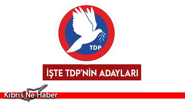 İşte TDP'nin adayları