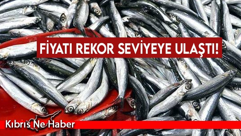 Fiyatı rekor seviyeye ulaştı!