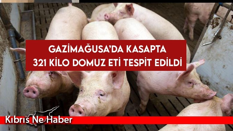 Kasapta 321 kilo domuz eti tespit edildi
