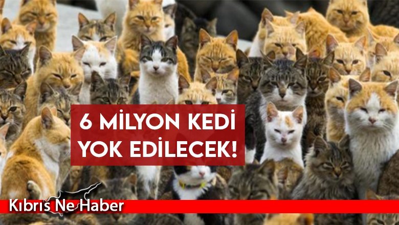 Yine katliam yapacaklar!