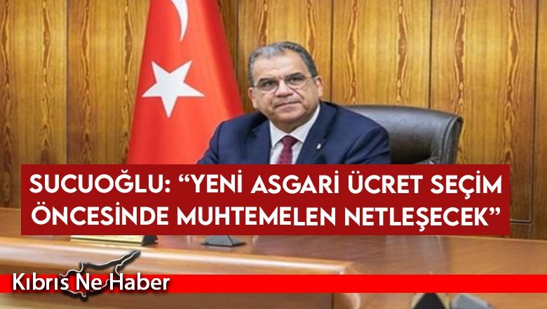 SUCUOĞLU: “YENİ ASGARİ ÜCRET SEÇİM ÖNCESİNDE MUHTEMELEN NETLEŞECEK”