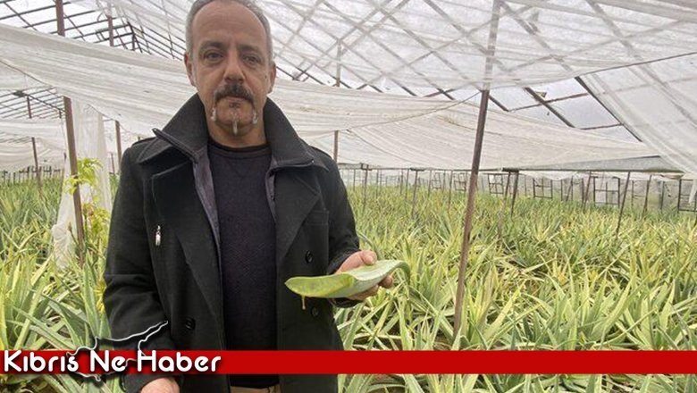 Yurt dışında görüp yetiştirmeye başladı! Yıllık kazancı 15-20 milyon TL'yi buluyor