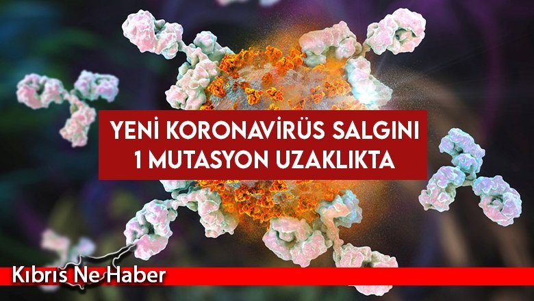 DSÖ'den NeoCov tehlikesine ilişkin açıklama