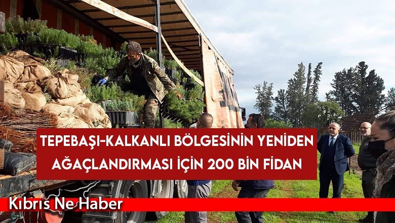 Türkiye’den 200 bin fidan gönderildi