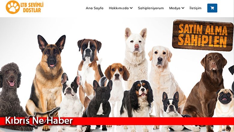 LTB Sevimli Dostlar Web Sitesi Yayında