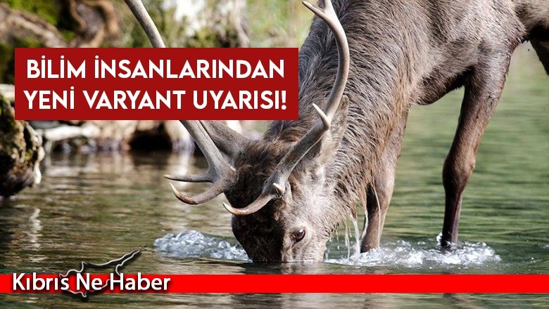 Bilim insanlarından yeni varyant uyarısı!