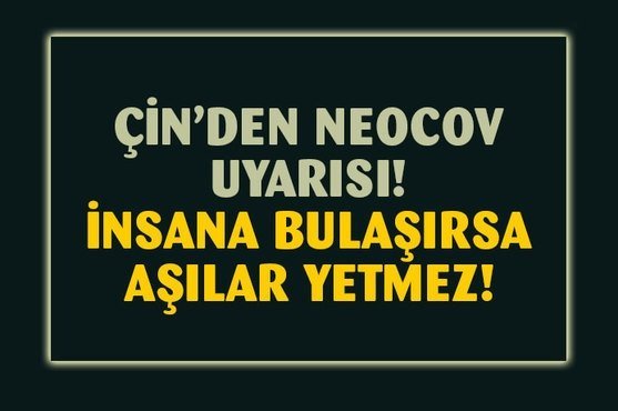 Çinli bilim insanlarından 'NeoCoV' uyarısı: İnsana bulaşırsa mevcut aşılar kurtarmayabilir