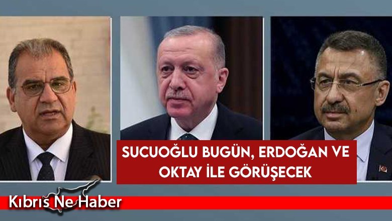 Sucuoğlu bugün, Erdoğan ve Oktay ile görüşecek