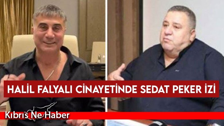Halil Falyalı Cinayetinde Sedat Peker izi