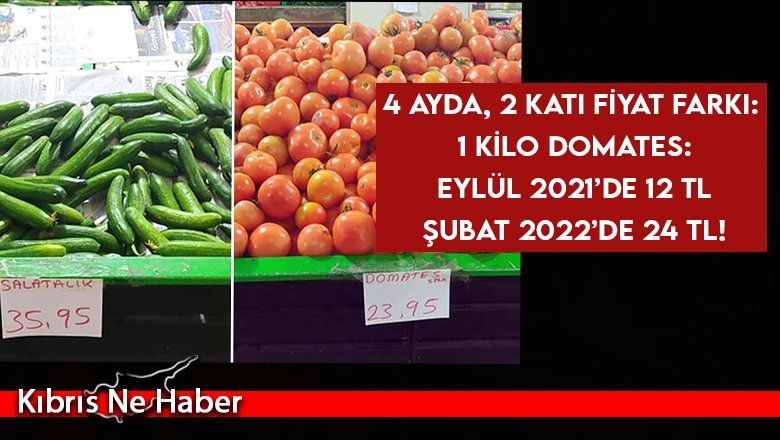 4 ayda, 2 katı fiyat farkı: 1 Kilo domates: Eylül 2021’de 12 TL Şubat 2022’de 24 TL!